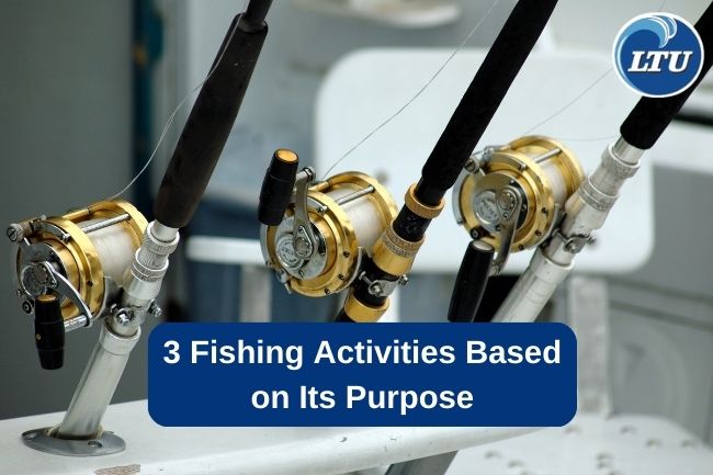 3 Fishing Activities Based on Its Purpose